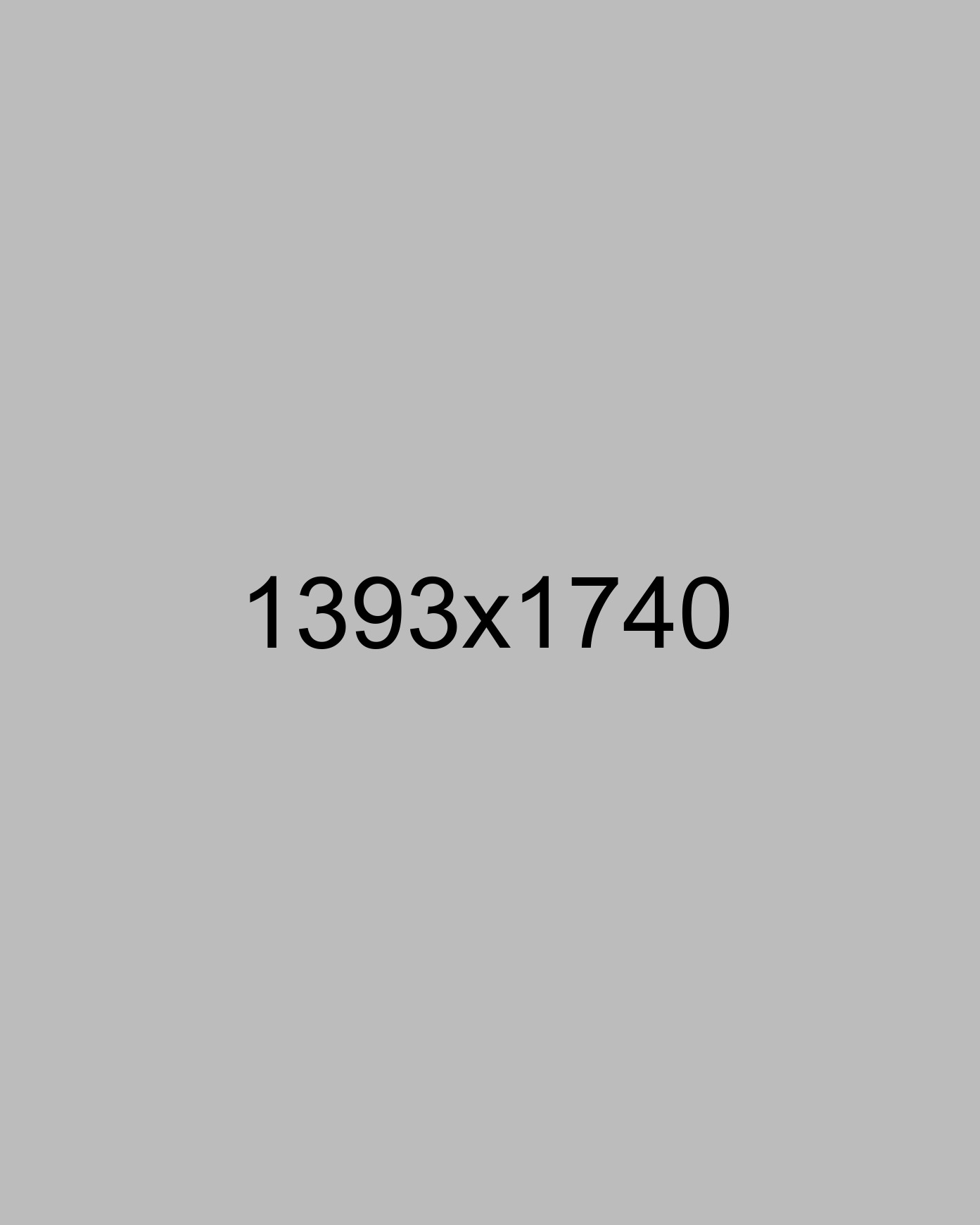 img13 img13